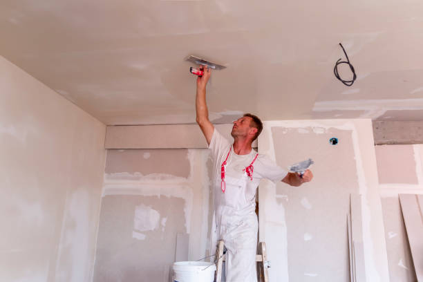 Best Drywall Texturing  in Kemp, TX